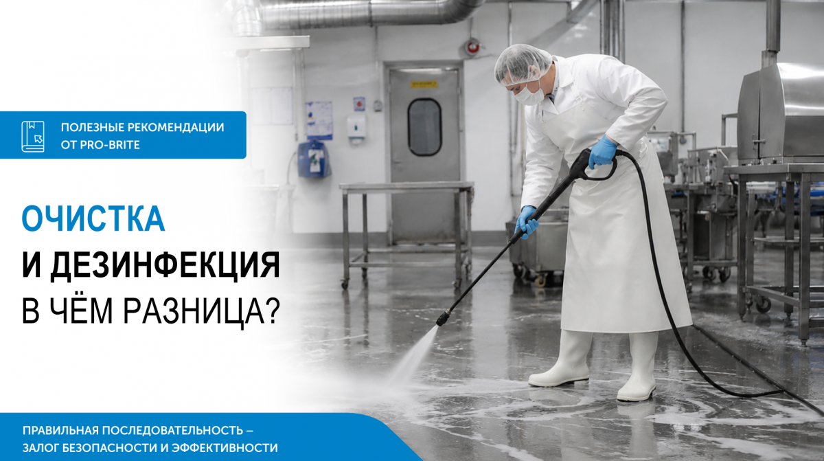 Сначала мыть, потом дезинфицировать: правильный порядок уборки от PRO-BRITE