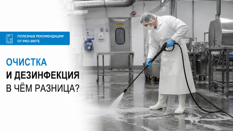 Сначала мыть, потом дезинфицировать: правильный порядок уборки от PRO-BRITE